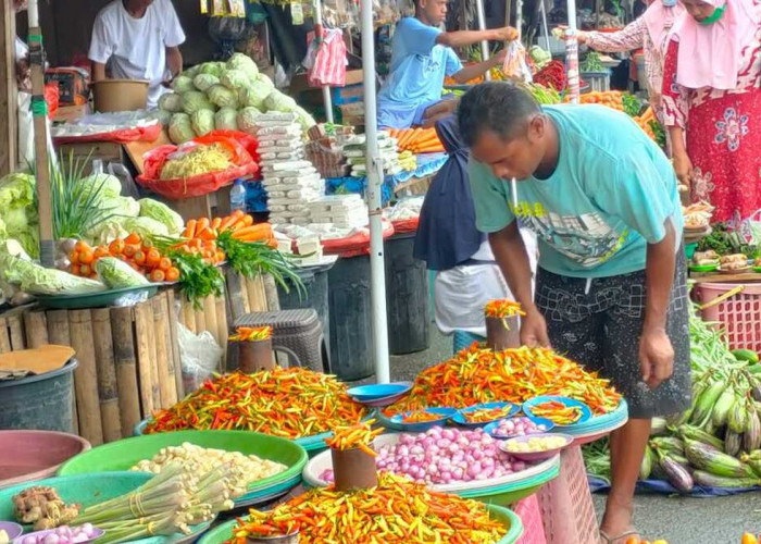 Akibat Fenomena El Nino, Harga Cabai dan Bawang di Lampung Barat Jadi Naik