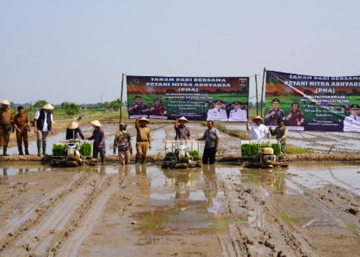 Kajati Lampung Hadiri Tanam Padi Bersama Petani Mitra Adhyaksa Kota Metro