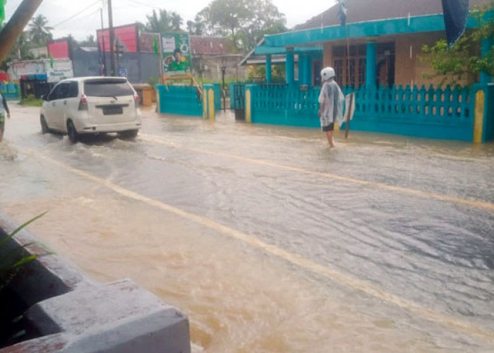 Sejumlah Wilaya Pesisir Barat Terdampak Banjir, Dampak Hujan Deras dan Aliran Sungai Meluap