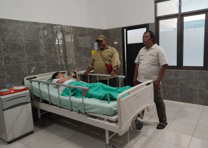 Pengunjung Anak Terpental Terkena Belalai Gajah di Way Kambas, SOP Keselamatan Pengunjung Dipertanyakan