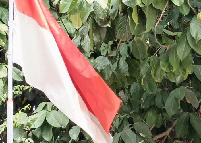 RIS Kibarkan Bendera Lusuh, Veteran di Kota Metro Kecewa