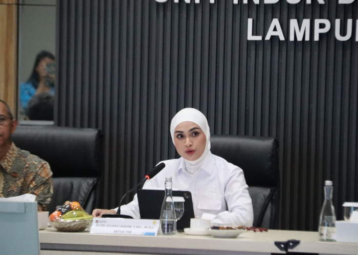 Tinjau Sektor Energi Lampung, Komisi XII DPR RI Apresiasi Keandalan Kelistrikan PLN