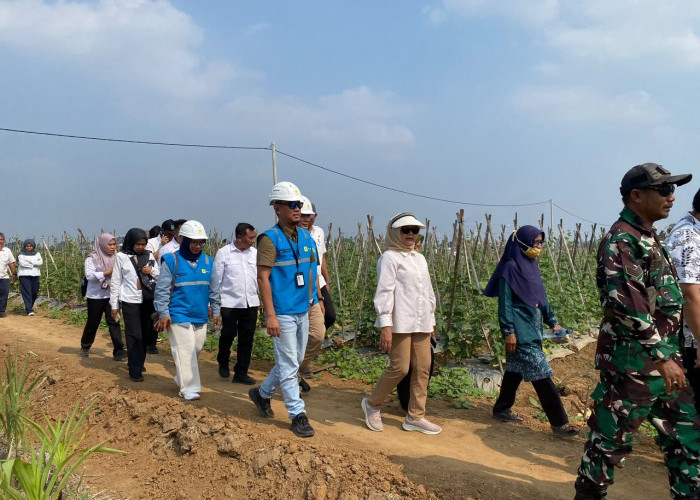 Jelang HUT ke-81 RI, PLN UP3 Metro Perkuat Ketahanan Pangan Lampung Timur Lewat Listrik Masuk Sawah