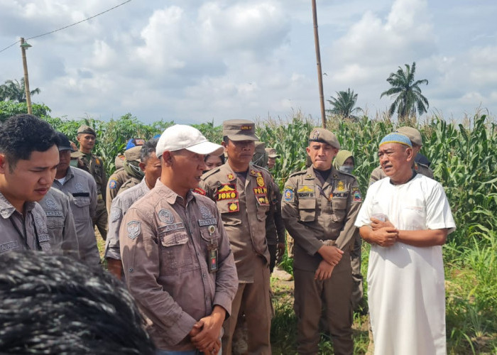 PTPN I Tegaskan Bangunan yang Dieksekusi di Lahan HGU Lampung Bukan Pondok Pesantren 