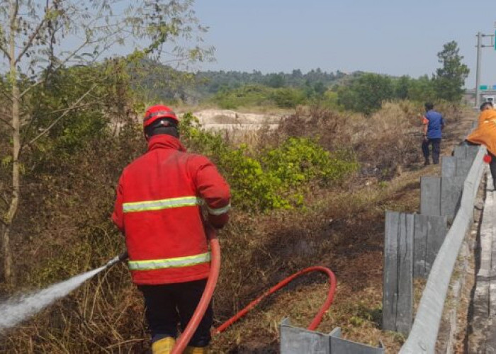 Damkarmat Berhasil Padamkan Kebakaran Rumput di Tol KM 10
