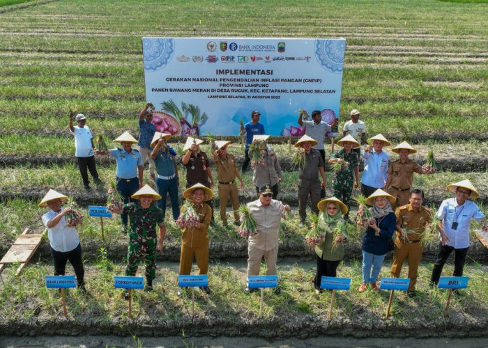 BI-Pemprov Lampung Panen Bawang Merah di Lampung Selatan