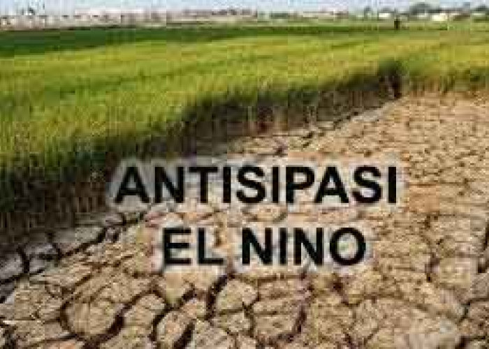 Kota Metro Terus  Lakukan Antispasi Dampak El Nino