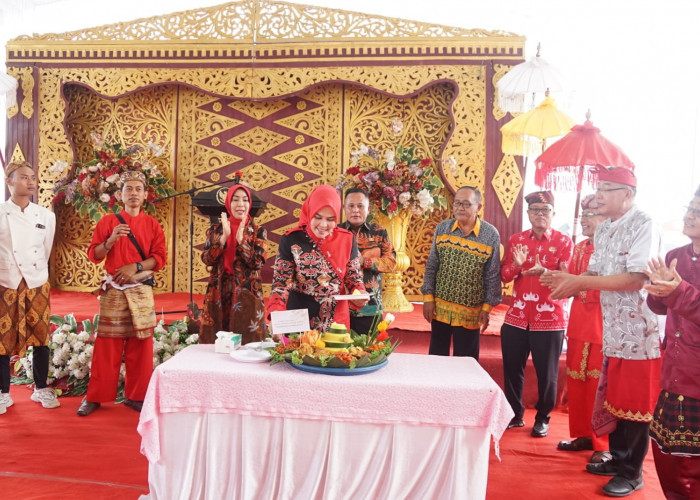 Puncak HUT ke-3 Dewan Kesenian Lampung Selatan Meriah