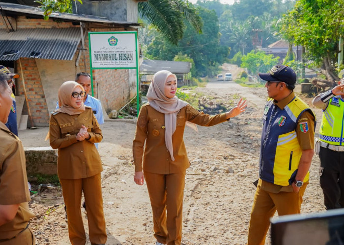 Wagub Jihan Tinjau Progres Pembangunan Ruas Jalan Kasui - Air Ringkih di Kabupaten Way Kanan