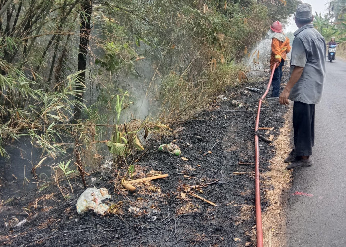 Satu Hektar Lahan di Sidomulyo Terbakar