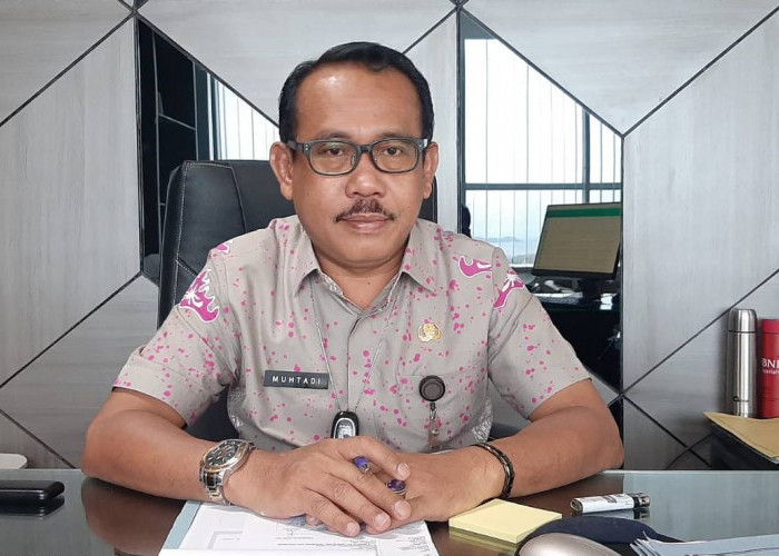 DPMPTSP Catat Realisasi Investasi di Bandar Lampung Triwulan I 2024 Capai Rp 572 Miliar