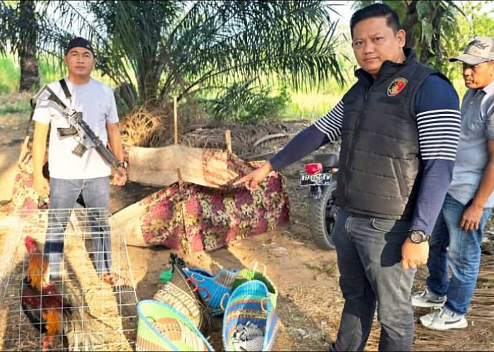 Polisi Gerebek Arena Sabung Ayam di Jati Agung, Sembilan Motor dan Tiga Ayam Disita