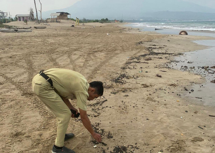 Pantai Kedu yang Tercemar Limbah Segera Dibersihkan