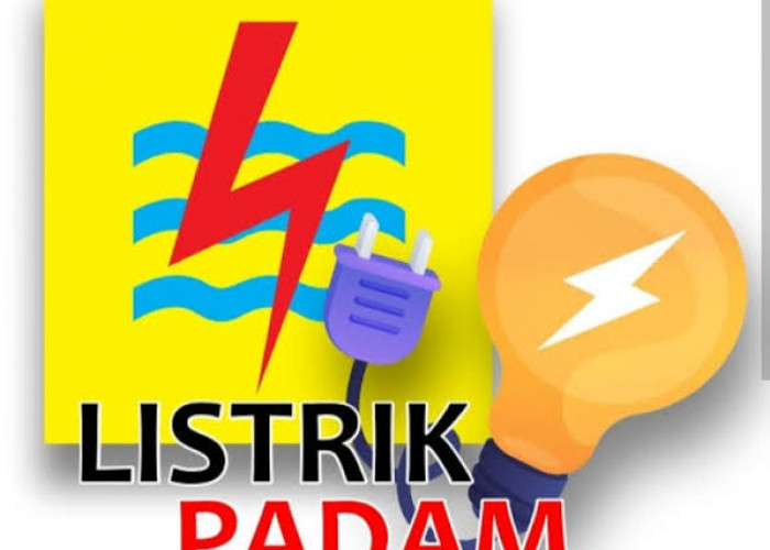 Listrik Jakarta Berulangkali Padam, IWO: Dirut PLN Tak Kenal Budaya Mundur, Harus Dicopot dan Diperiksa!