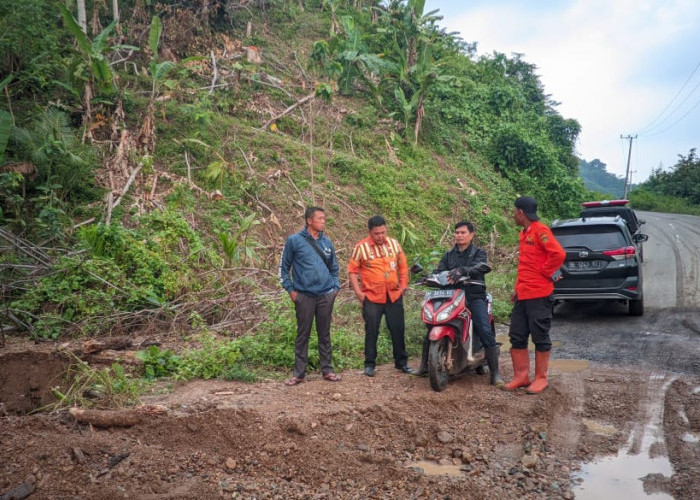 Akses Jalan Pekon Doh dan Padang Ratu Kini Sudah Bisa Dilalui