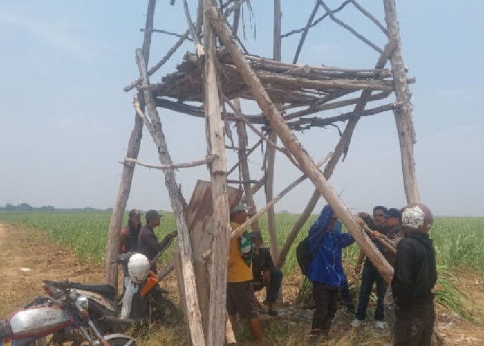 Ali Bastari Syok Setelah Mendengar 3 Kali Suara Letusan Yang Di Duga Senjata Api 