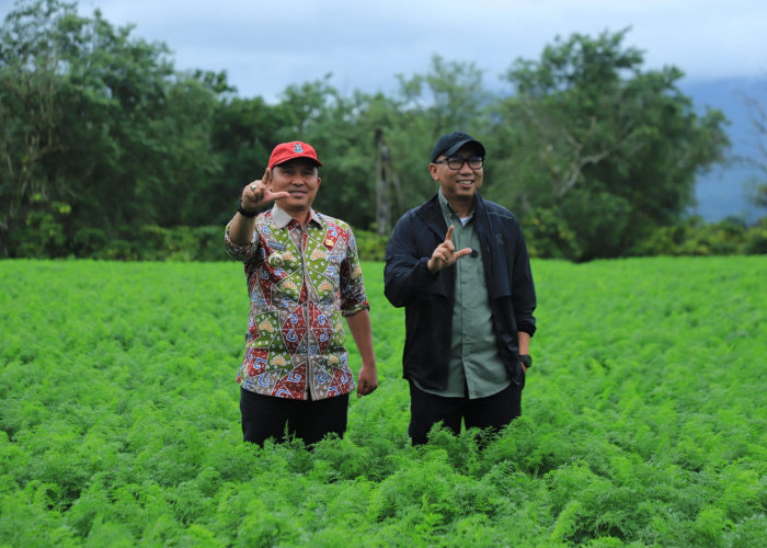 Parosil Beberkan Keluhan Petani Sayur, Gubernur Mirza Janji Stop Pasokan Dari Luar