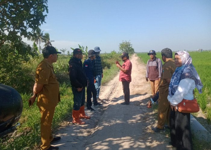 Kementan Datang Atasi Kekeringan Sawah di Palas Pakai Sumur Bor