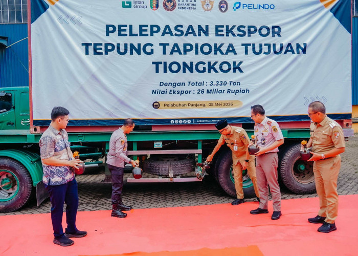 Tembus Pasar Global, 3.330 Ton Tapioka Lampung Diekspor ke China