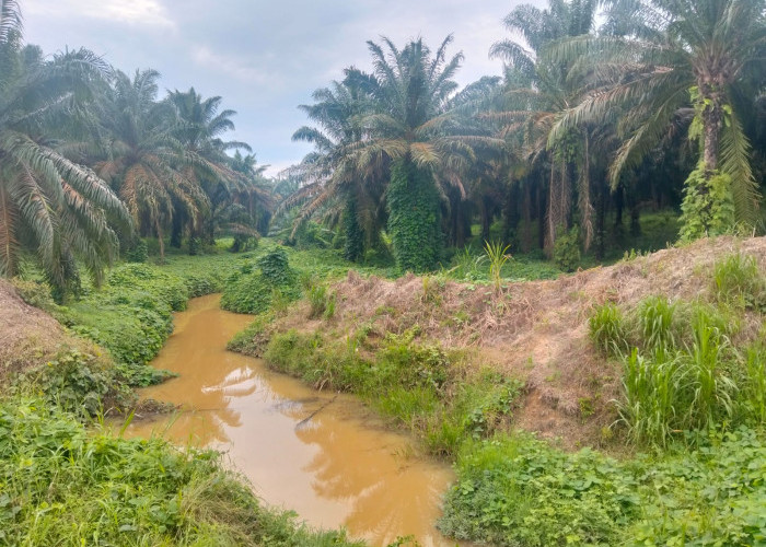 PT. Kencana Acidindo Diduga 'Serobot' Sempadan Sungai dan Cemari Air, Warga Resah
