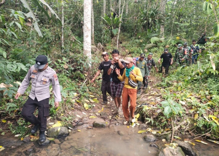 Warga Lampung Barat Kembali Jadi Korban Harimau, Ditemukan Tewas Mengenaskan