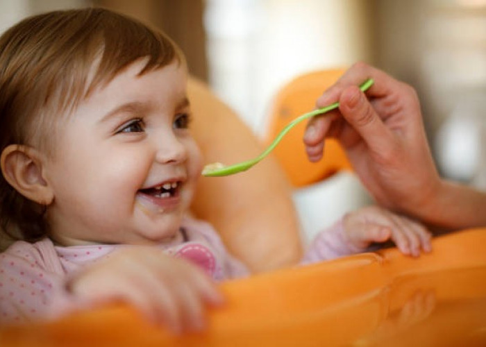 Resep Makanan Sehat untuk Bayi