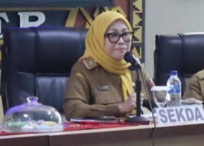 Kisruh Antrean MJKN di RS Ryacudu, Sekda Lampura Warning Management