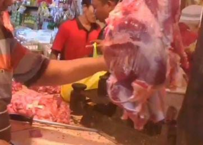 Jelang Idul Fitri, DKP3 Kota Metro Bentuk Tim Pengawas Peredaran Daging Sapi