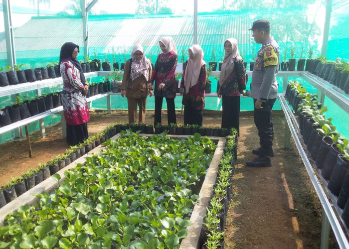 Dukung Program Ketahanan Pangan, Bhabinkamtibmas Polsek Gedong Tataan Kawal Penilaian Lomba KWT di Sungai Lang