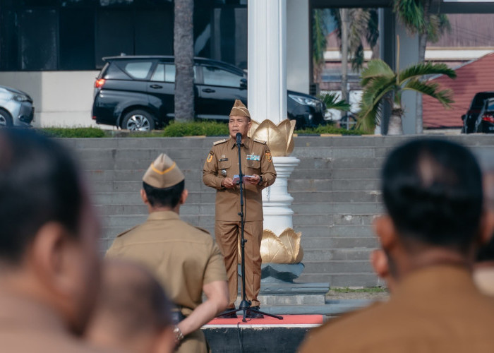Pemprov Lampung Dorong Pengembangan Energi Panas Bumi dan Investasi di Bidang Energi