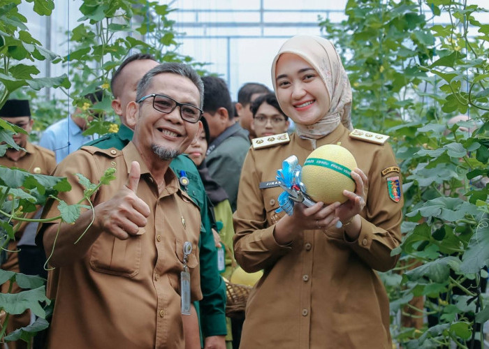 Wagub Lampung Jihan Nurlela Panen Melon Smart Greenhouse di Natar