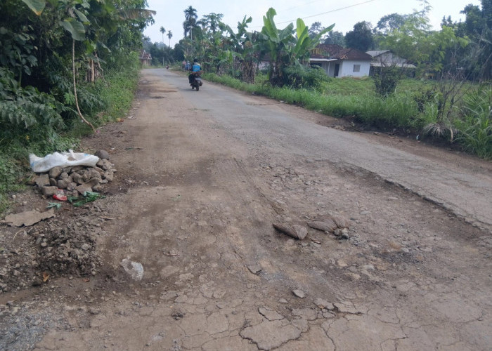 Jalan di Kecamatan Marga Tiga Rusak Parah, Warga Minta Pemprov Lampung Segera Perbaiki