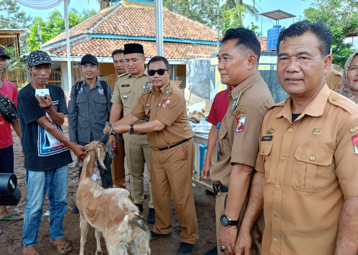 Dorong Pembangunan Ekonomi Inklusif, Kelompok Tani Desa Candimas Berhasil Kembangkan Ternak.