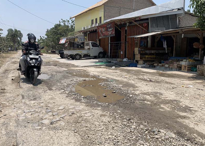 Perbaikan Jalan Poros Wilayah Barat Kecamatan Palas Gagal Terealisasi