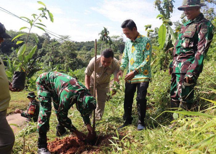 Kodim 0412/LU dan Koramil 412-07/ABB Tanam 1.000 Pohon di Nyapah Banyu