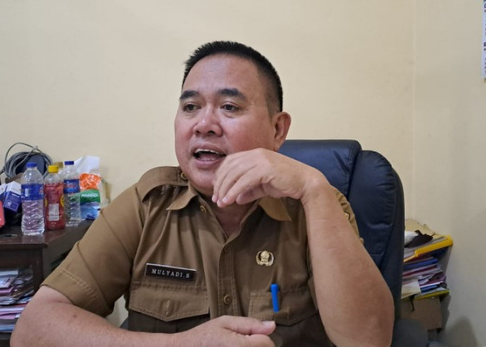 1 September Ada Unjuk Rasa, Disdik Bandar Lampung Liburkan SD dan SMP