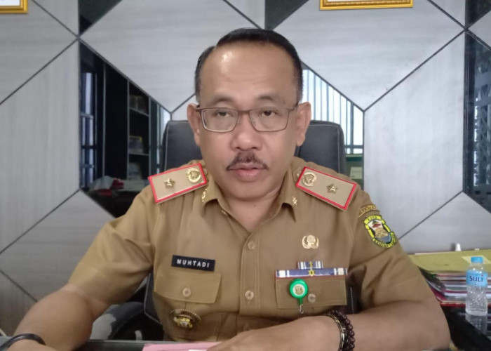 Dinkes Catat Kasus DBD di Bandar Lampung Capai 33