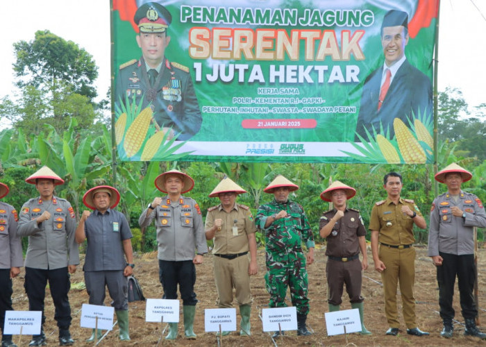 Polres Tanggamus Bersama Pemkab Tanam Jagung Serentak  di Lahan Seluas 1,5 Ha