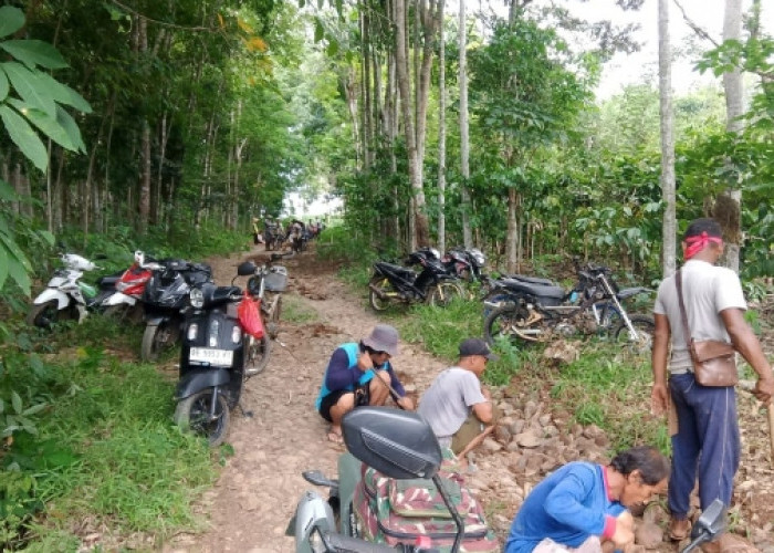 Warga Desa Tanjung Harapan Swadaya Perbaiki Jalan Kabupaten yang Rusak Parah