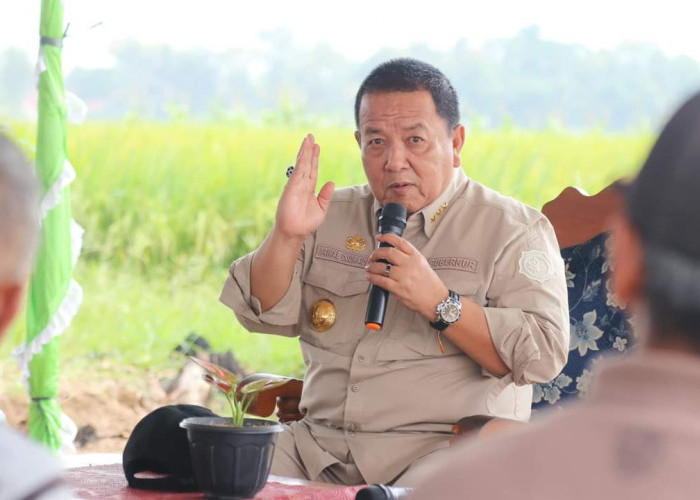 Gubernur Arinal Tinjau Lahan Pertanian di Kabupaten Lampung Tengah