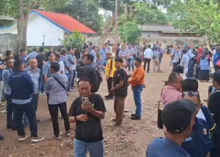 Sebanyak 171 Honorer BBWS Mesuji Sekampung Dipecat, Ketahanan Pangan Terancam?