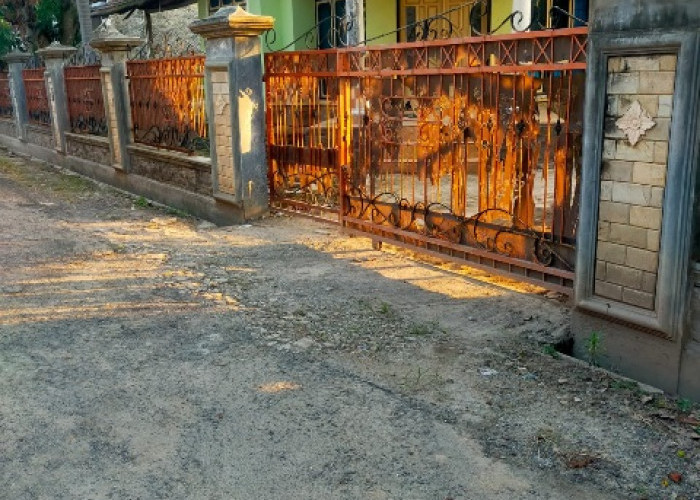 Diduga Disokong APH dan Bea Cukai, Gudang Rokok Ilegal Bebas Beroperasi di Sukarame Bandar Lampung