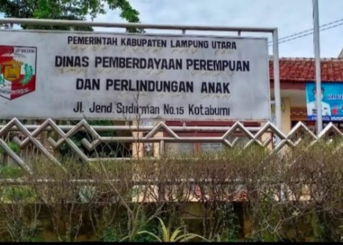 Dalam 8 Bulan Terakhir, Terdapat 37 Kasus Kekerasan Perempuan dan Anak di Lampura