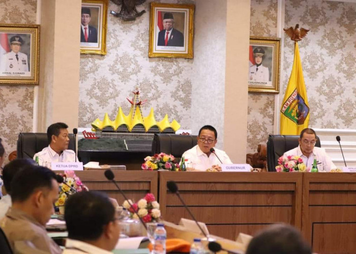 Tiga Kabupaten Di Lampung Tertinggi titik panas Kebakaran Hutan dan Lahan, yang Pertama Kabupaten Way Kanan