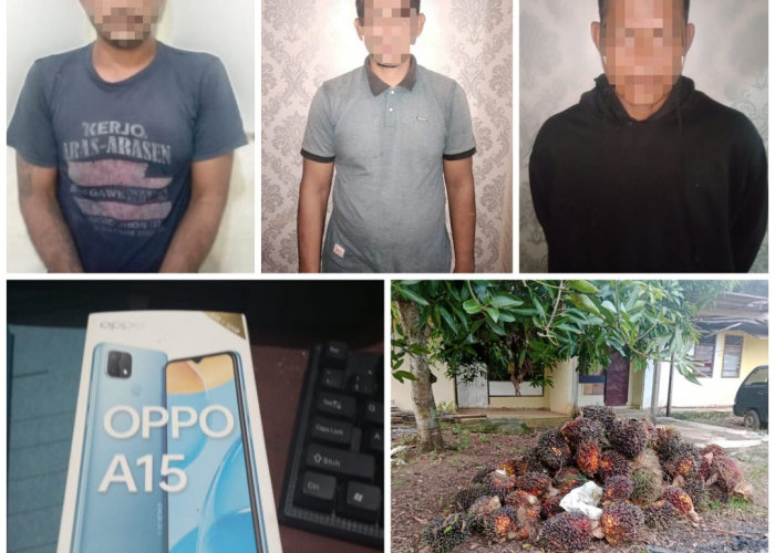 Polsek Jajaran Polres Lampung Utara Amankan Tiga Pelaku Pencurian