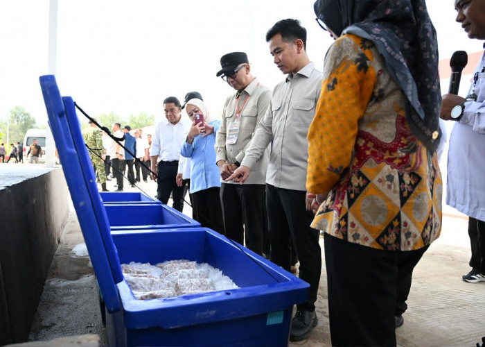 Wapres Gibran Tinjau KNMP Margasari, Tekankan Kampung Nelayan Modern dan Terintegrasi