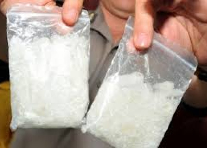 6 Orang Pengguna Narkoba Diamankan Satresnarkoba Polres Pringsewu