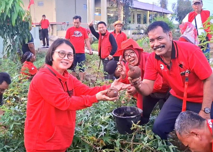 PDIP Metro Dorong Budidaya Pangan, Antisipasi Krisis Global