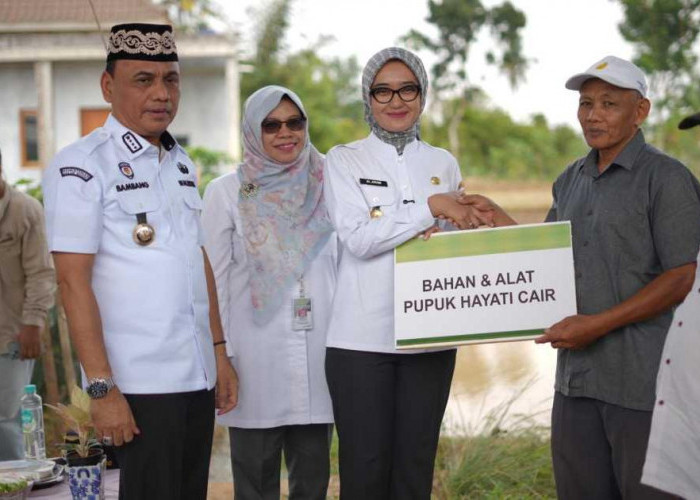 Wali Kota Metro Targetkan Produktivitas Padi 10 Ton per Hektare Lewat Sistem PM-AAS