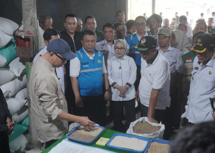 Dukung Program Desaku Maju, Bank Lampung Salurkan Kredit Alsintan